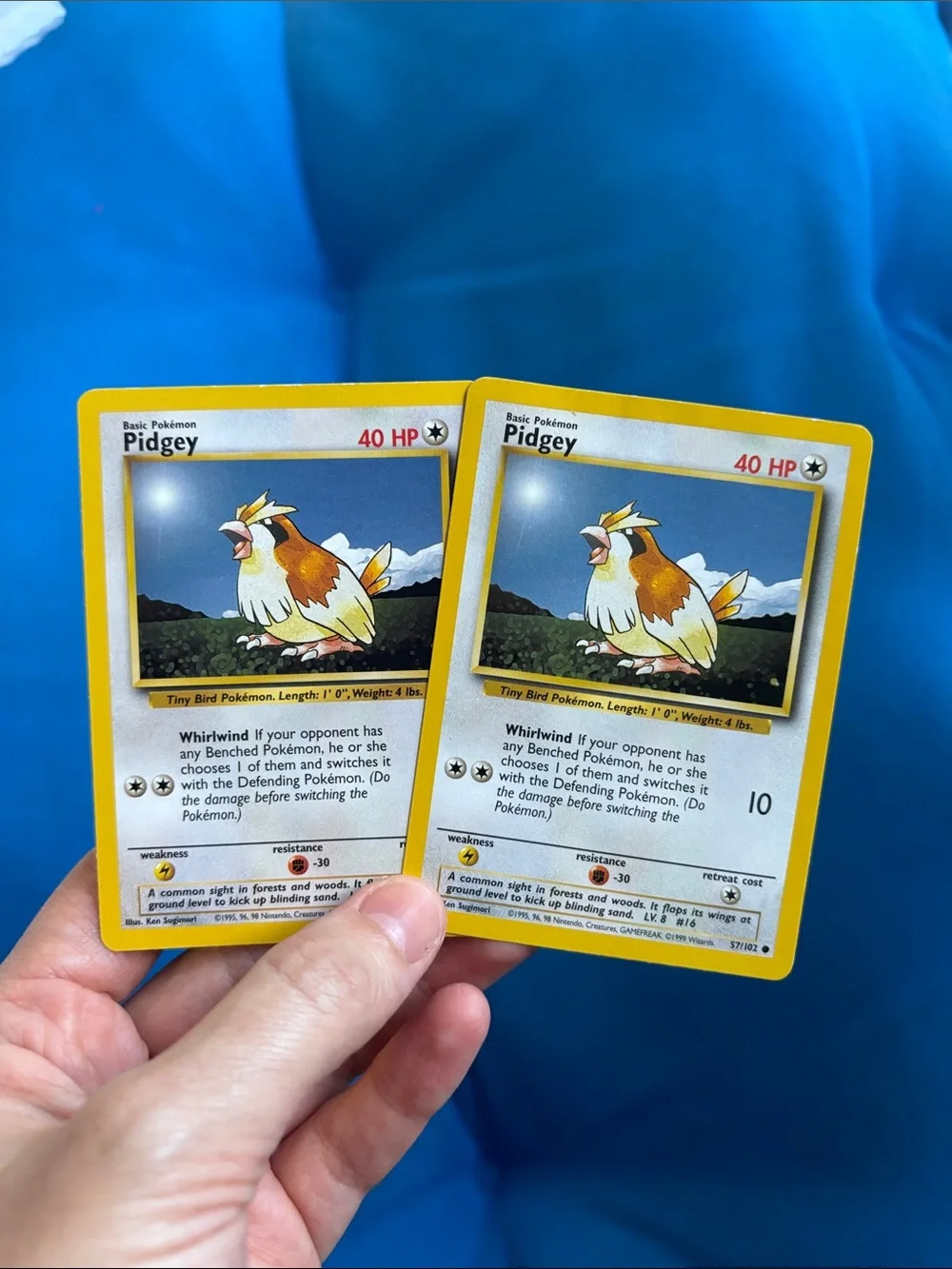 Pokémon Cards Pidgey HP 40 Pidgeotto HP 80 1995,1996,1998 2010 NWOTS Common Type